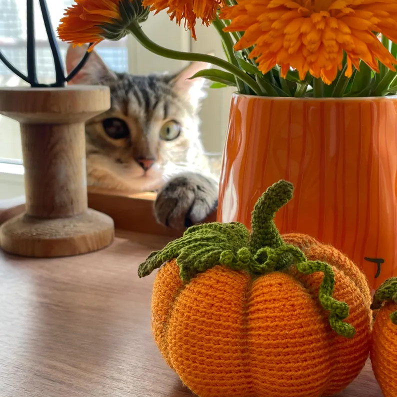 Autumn Pumpkin Crochet Pattern