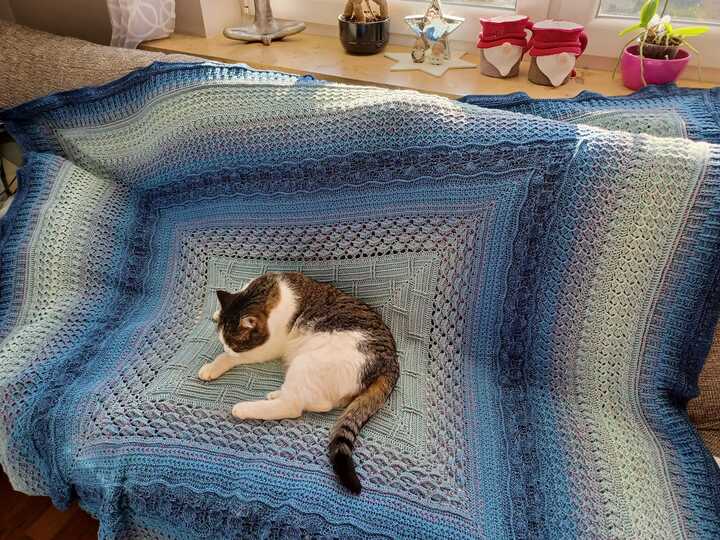 Square Blanket Crochet Pattern