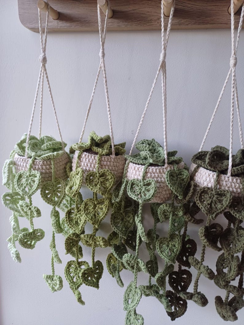 Hanging Monstera Plant Crochet Pattern