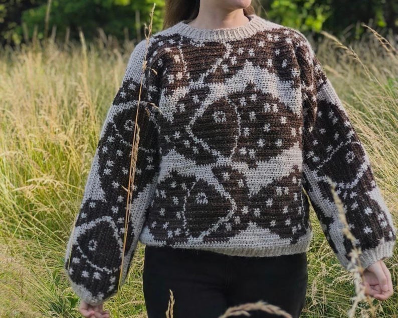 Fish Sweater Crochet Pattern